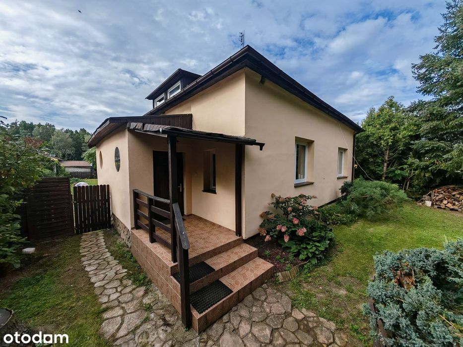 Zdjęcie 8