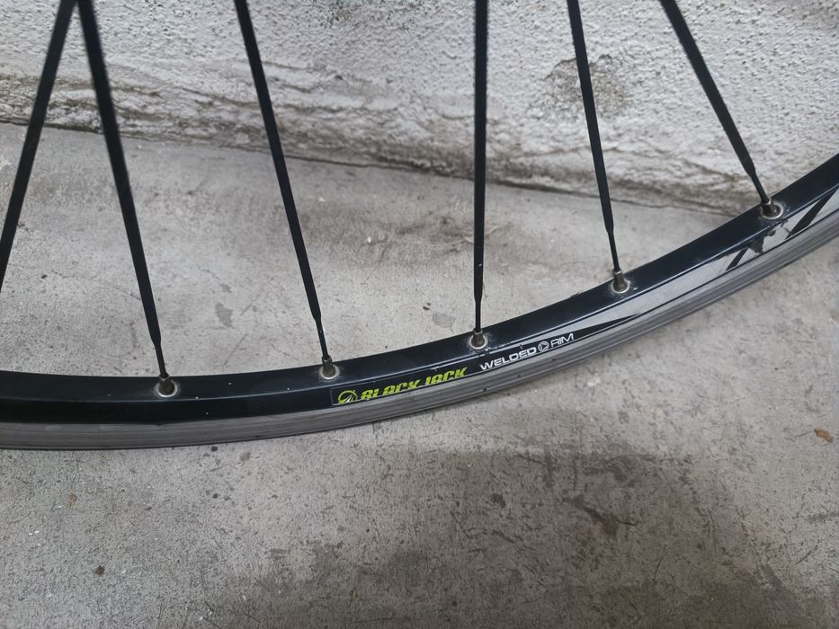 Rodas Blackjack WarmUp 26"