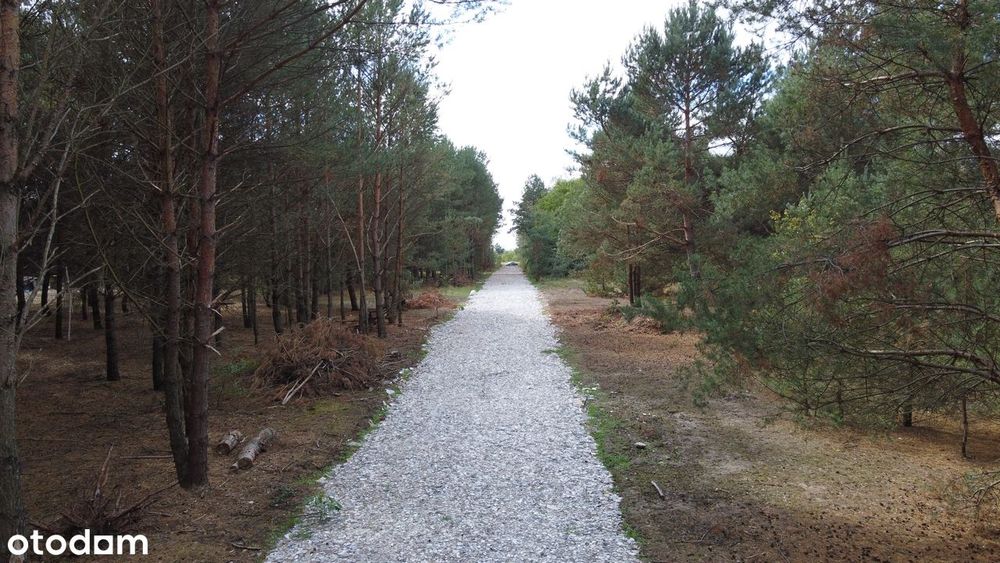 Działki na sprzedaż 1224 m² WARUNKI ZABUDOWY 2026 "WZ" WODA W DZIAŁCE - Widok 4