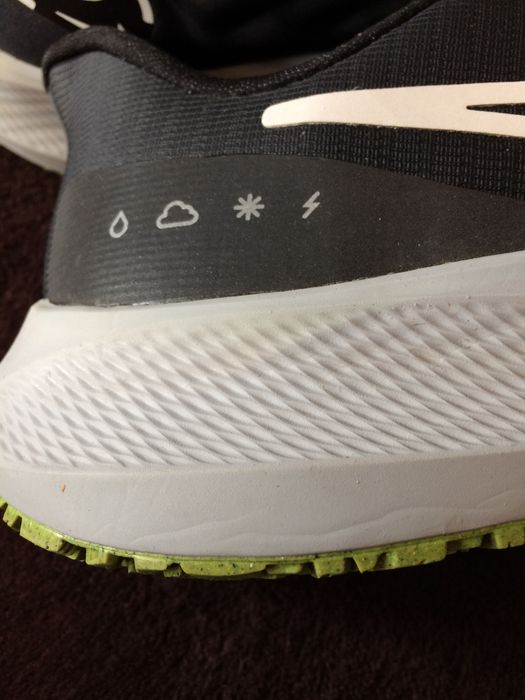 Nike Pegasus 39 Shield