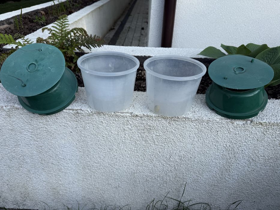 Pułapka FEROMONOWA na ĆMĘ Bukszpanową - 2 szt .