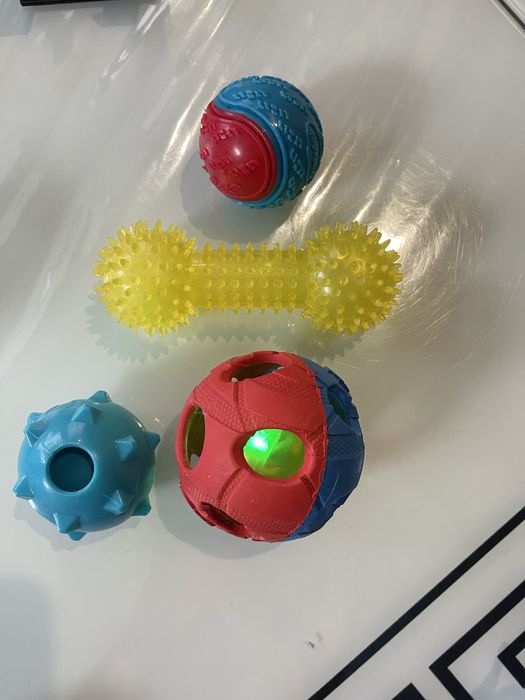 Мʼяч іграшки собака песик кістка