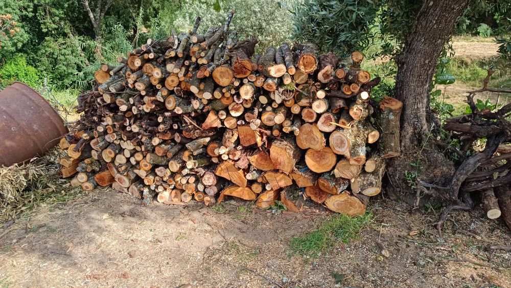 Vendo lenha com saca pinha oferta por m3