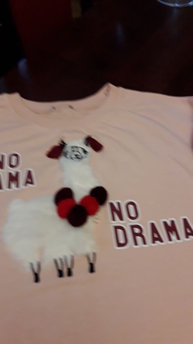 Bluzy dresowe dziewczęce S