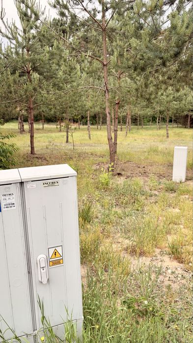 Unikalna działka budowlana 1091 m² pod Łodzią przy lesie - Widok 6