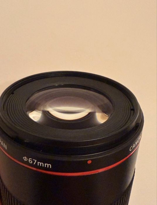 Canon EF 100 mm f/2.8L Macro IS USM