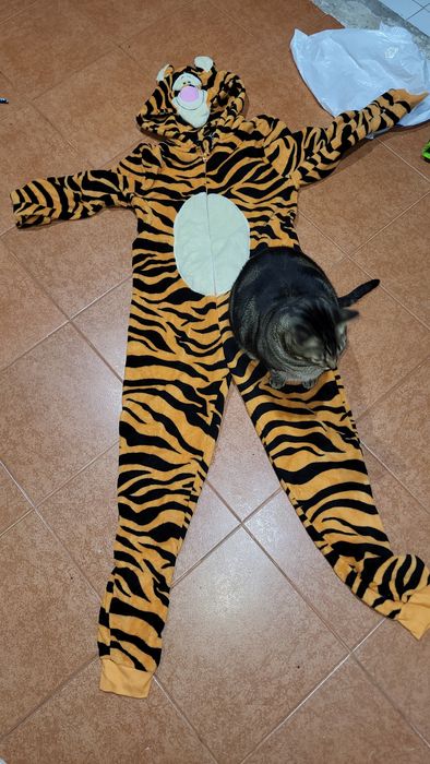 Fato tigre  carnaval