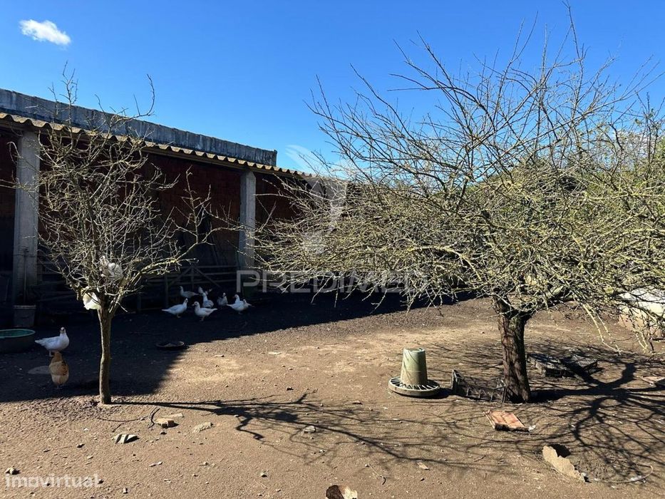 Terreno em Arrouquelas, Rio Maior — Arrouquelas, Santarém