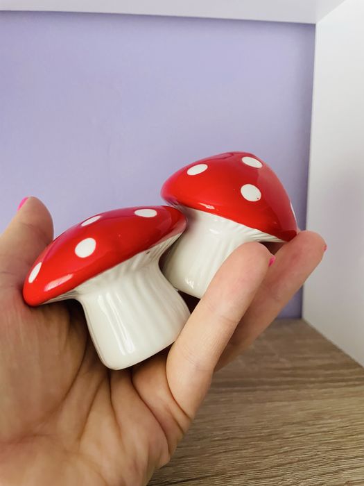 Solniczka pieprzniczka muchomor