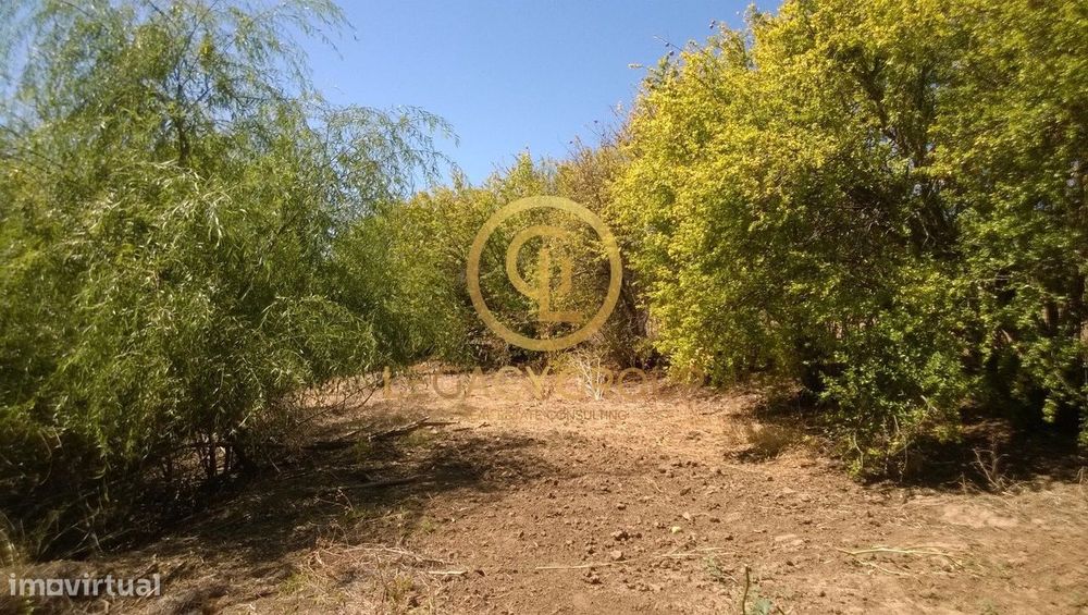 Rustic Land in Azinhal