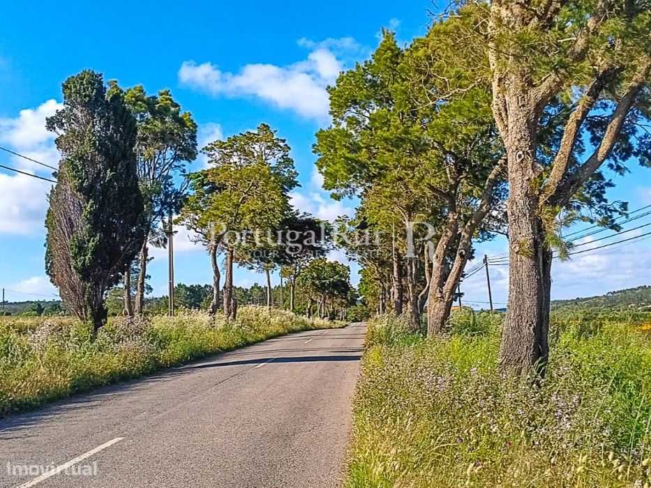 Terreno com 10.500 m² a 5 minutos das Praias Costa Vicentina, Algarve — Bordeira, Faro
