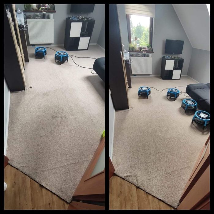 Pranie wykładzin. Biuro, hotel, restauracja, przedszkole.