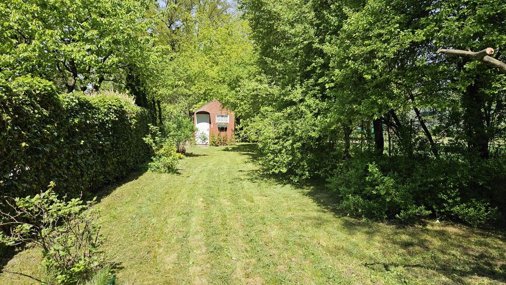 Działka ROD Wisienka, Teofilów, Łódź