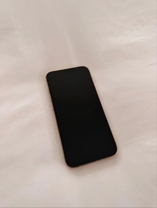 iPhone 13 Pro 256 GB