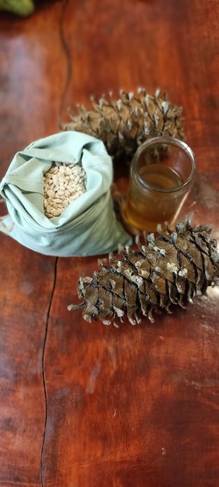 Кедровое масло свежевыжатое,Жива олія Сибірського кедру,Кедровое масл