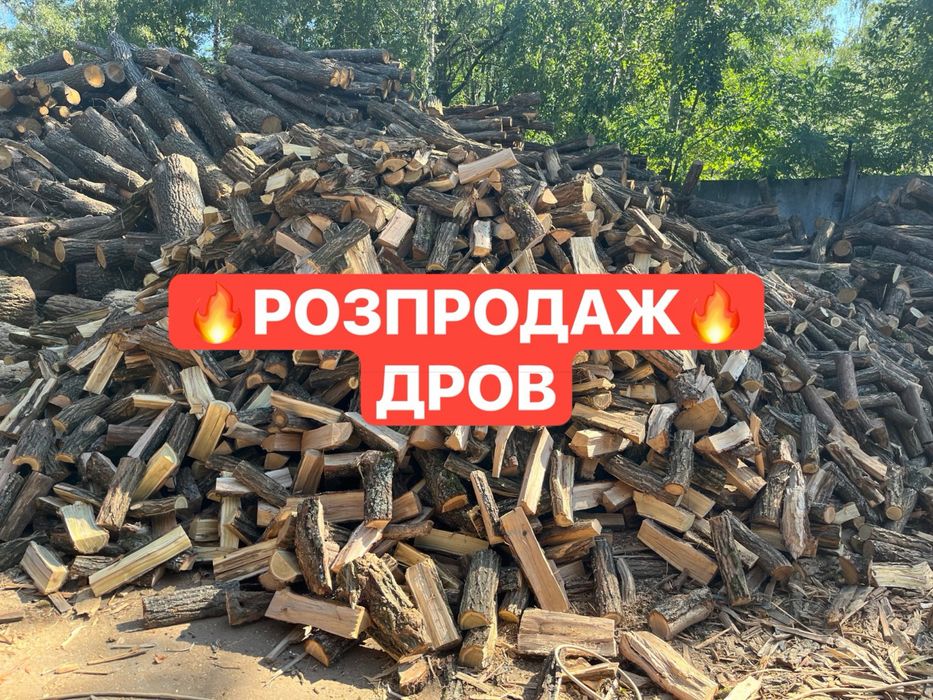 АКЦІЯ дрова колоті найнижча ціна з доставкою дуб