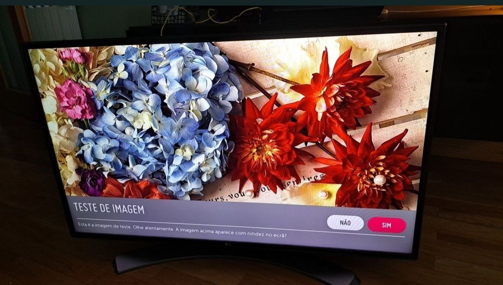 Smart TV LG 43" (Modelo 43LH63) – Excelente Estado e Com Caixa Original!