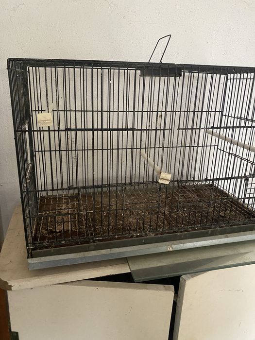 Viveiro de arame para aves