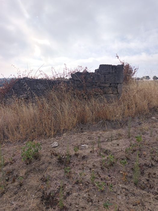 Vendo terreno de 2,5 hectares com regadio