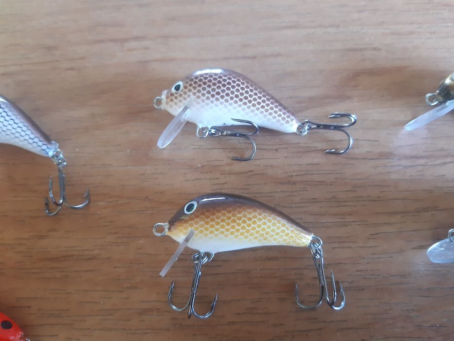 Wobler smużaki    .