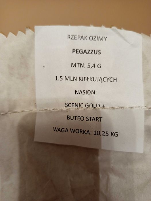 Rzepak ozimy Pegasus