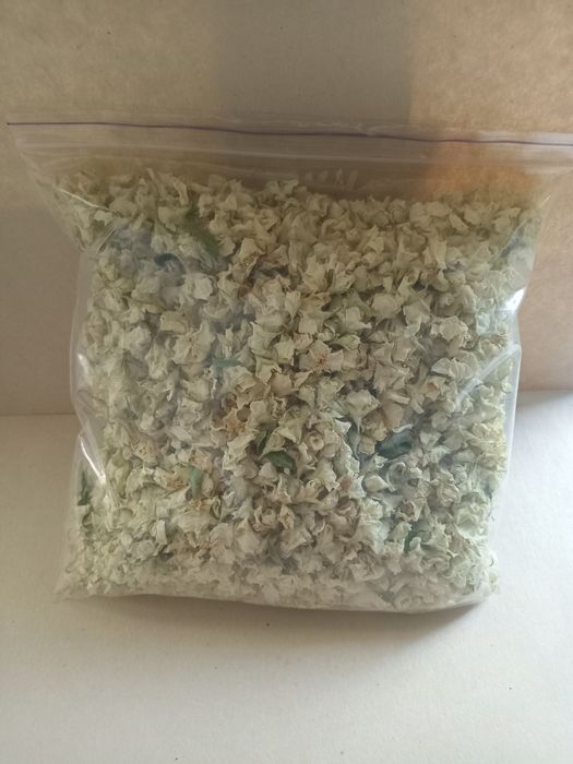 Лікарські трави.