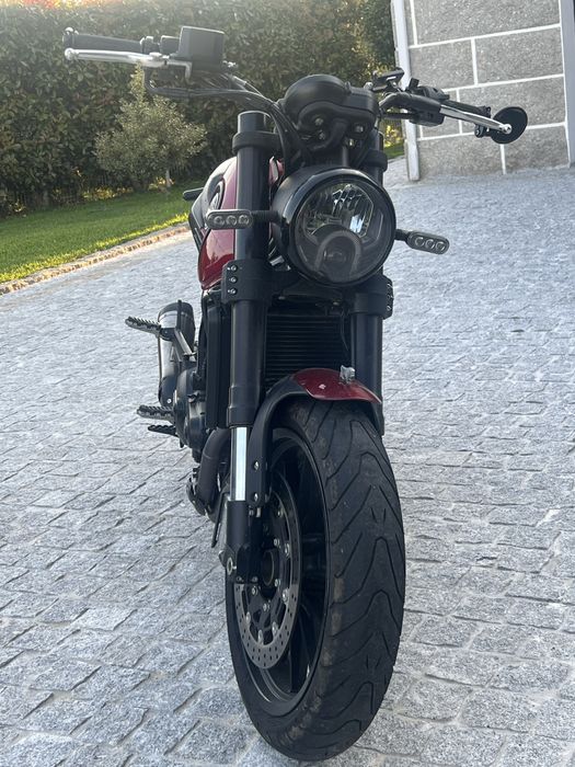 benelli leoncino 500