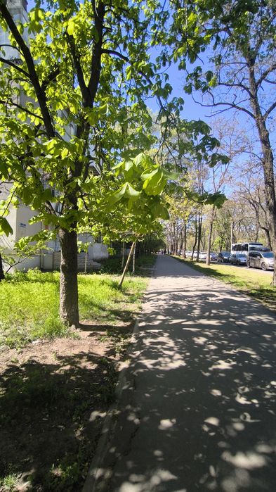 Квартира напротив парка Твена, в кирпичном доме