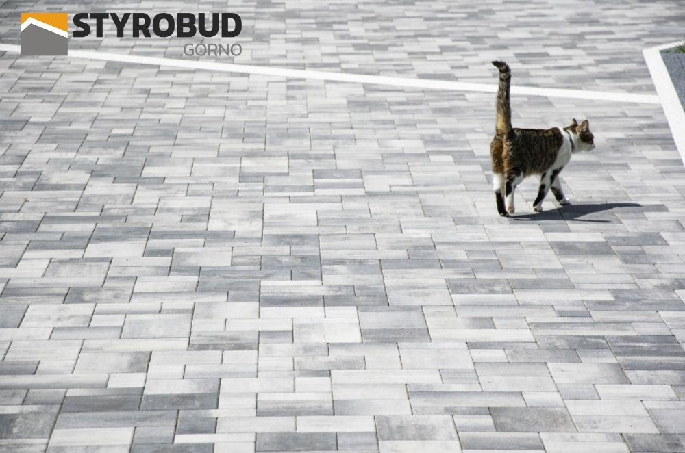 Kostka brukowa Moderno Styrobud 6cm colormix producent