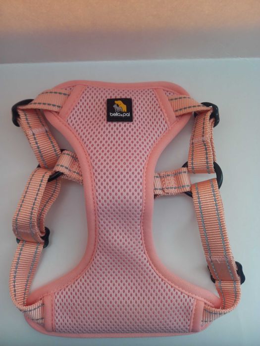 нашийник для собак