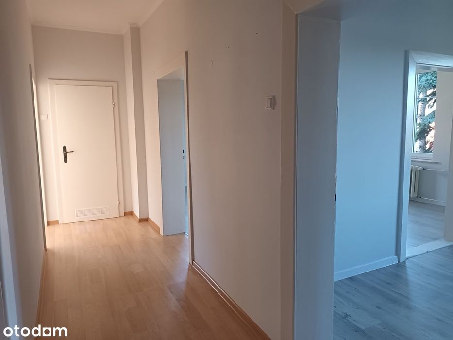 Zdjęcie 2