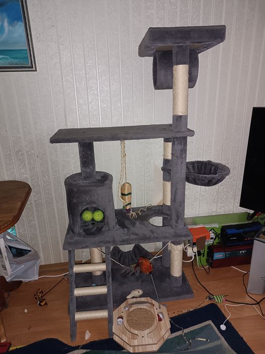 Комплекс для кошки