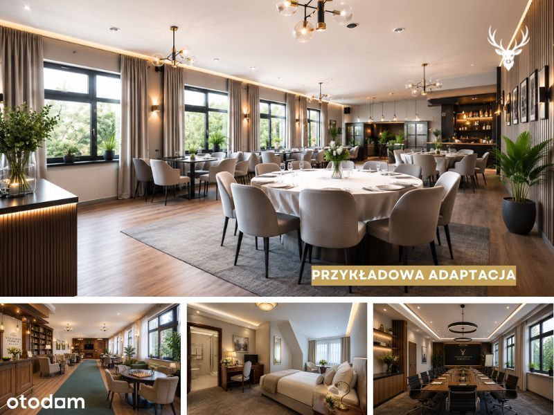 Ponad 1,2 ha terenu | Gotowy biznes z ogromnym potencjałem