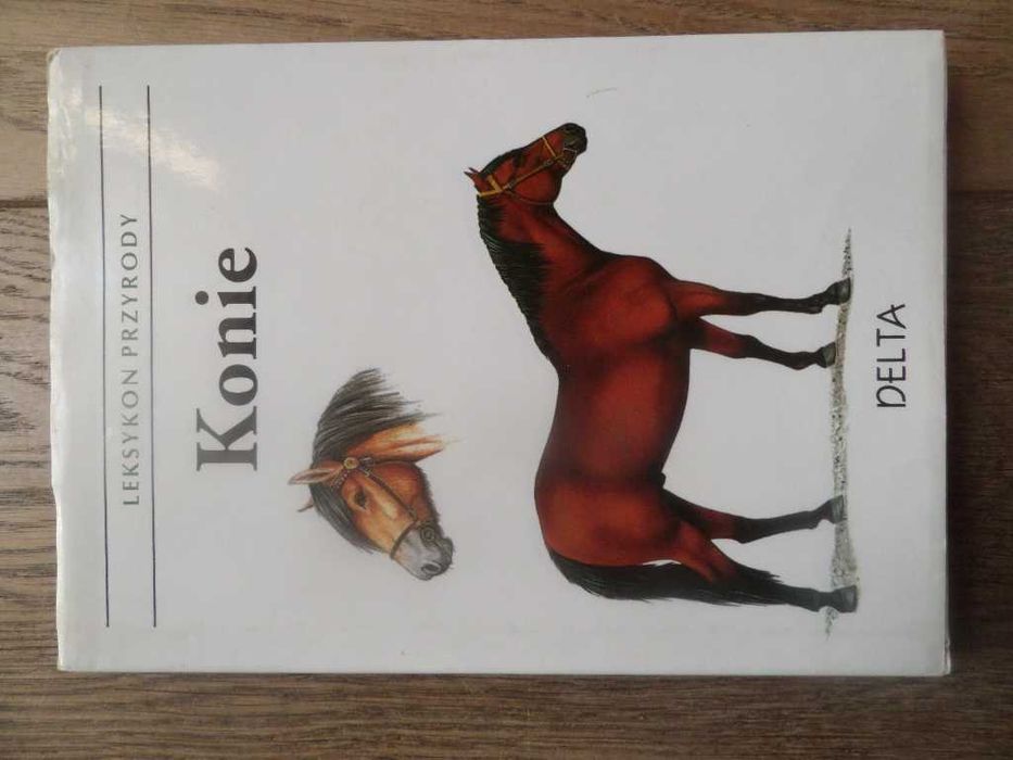 Konie Leksykon przyrody