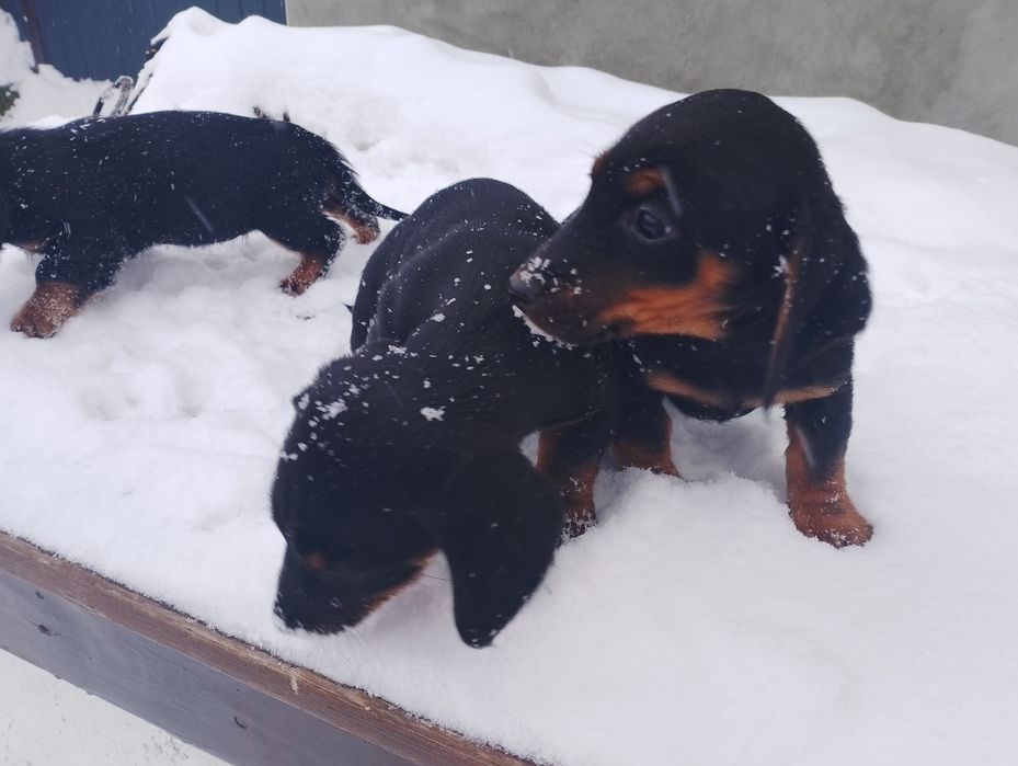 Такси 2 місяца...