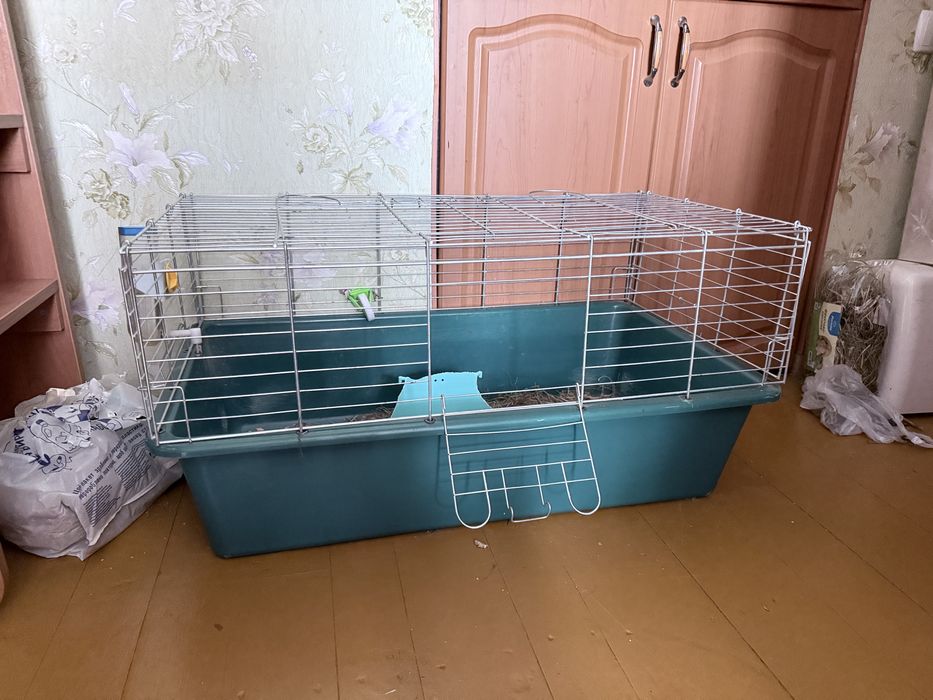 Декоративна висловуха дівчинка