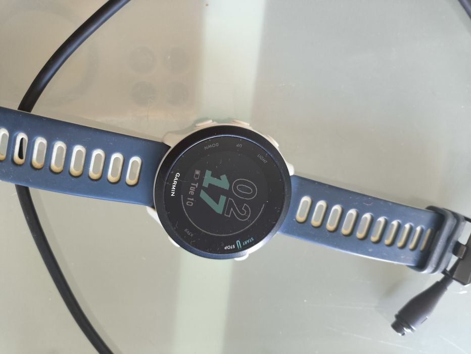 Garmin Forerunner 55446514537316362241