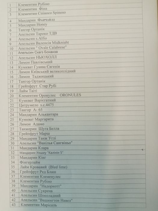 Лимон,Мандарин,Лайм,Кумкват,Апельсин  та інше.