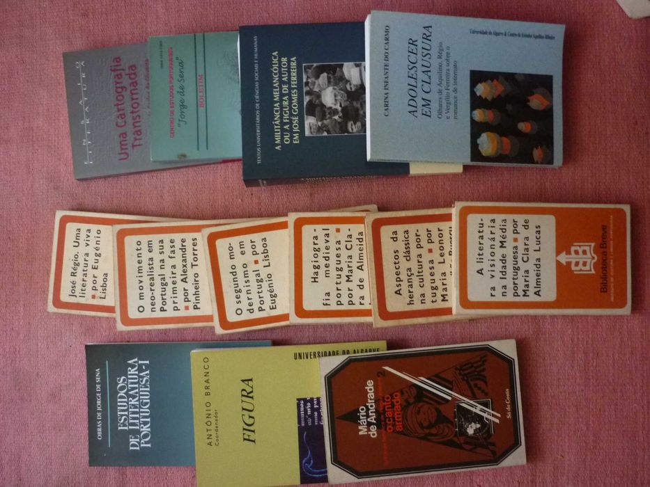 Aguiar e Silva, Camões, labirintos e fascínios