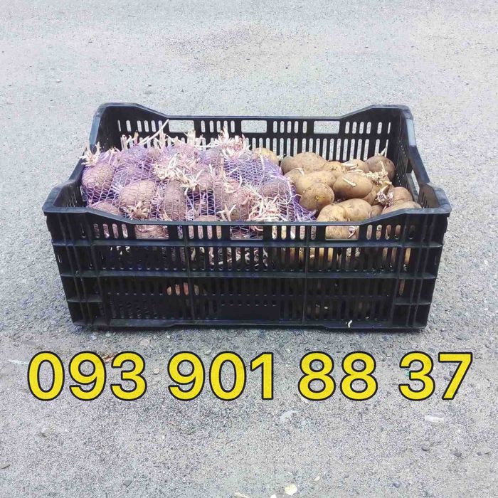 ящик пластиковый голландский 600*400 садовый инвентарь на 25кг