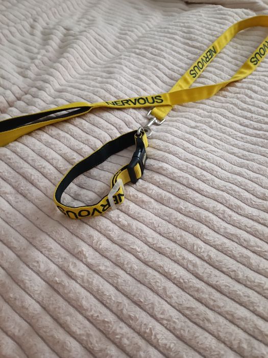 Проводок с ошейником DEXIL Nervous