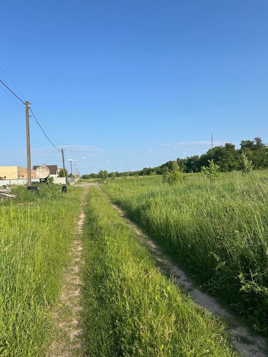 (5) Продам земельну ділянку в Лукашівці 4422