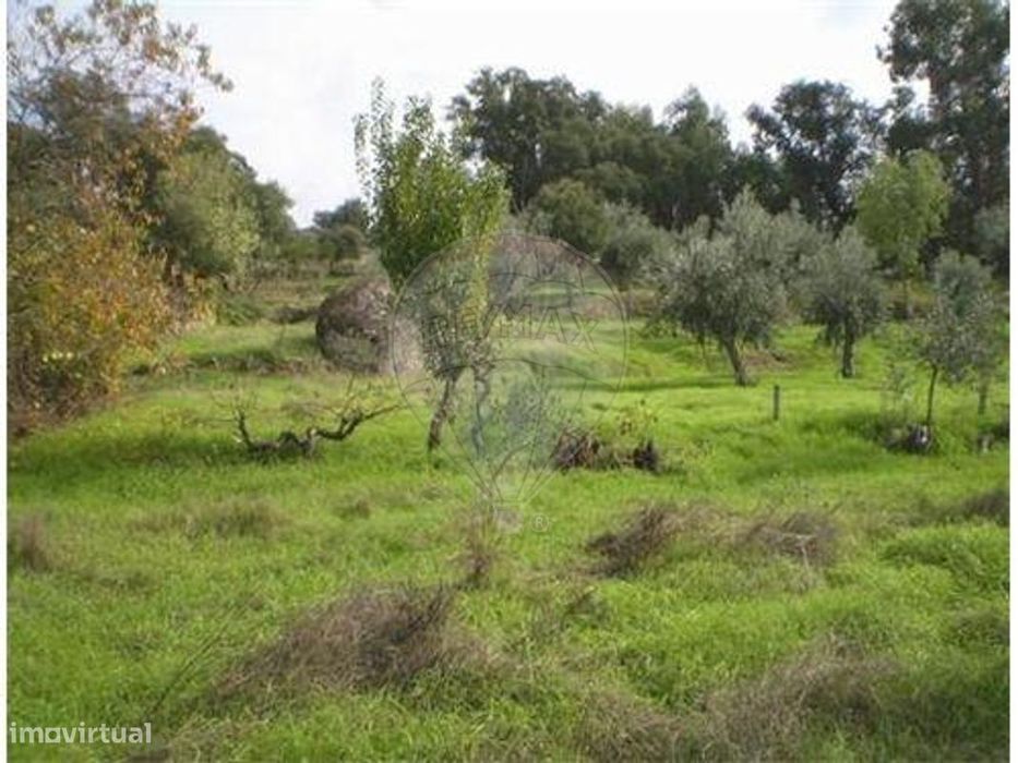 Terreno  para venda