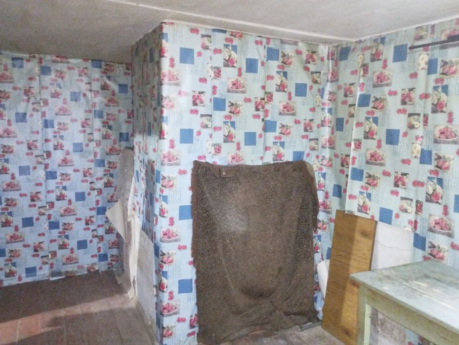 Будинок з земельною ділянкою