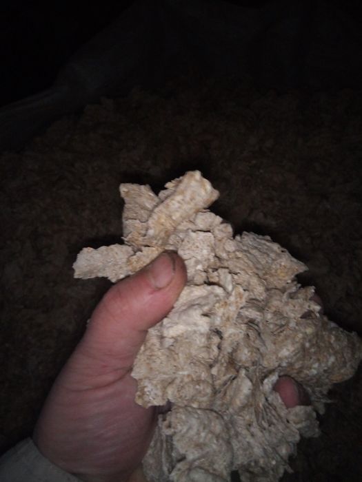 Корм для собак екструдований 10 кг(суха каш