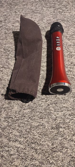 EONKO L-698 15W Bezprzewodowy głośnik Bluetooth do karaoke z mikrofone