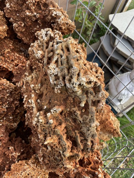 Czerwony Wapień Spaghetti Skała do Akwarium Malawi Tanganika