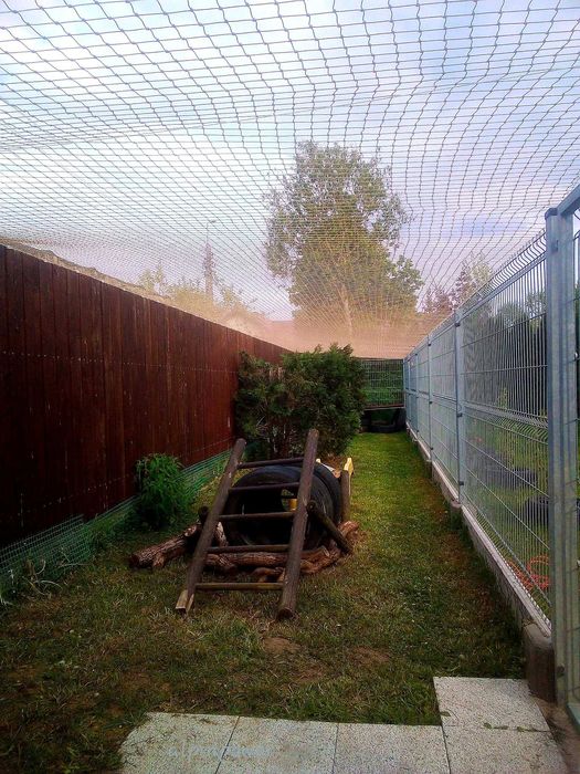 Siatka Dla Kota Na Balkon Okno Taras Montaż Przeciw Ptakóm Na Gołębie
