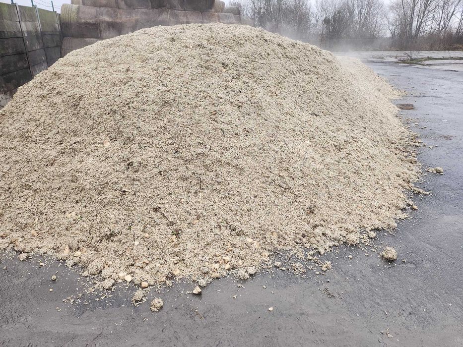 Wyslodki buraczane belowane - 700kg