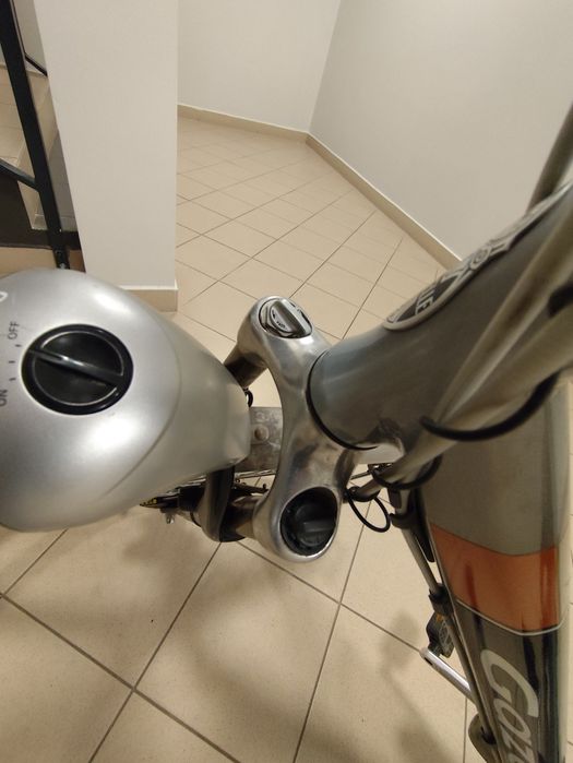 Rower męski Holenderski Gazelle Chamonix 57